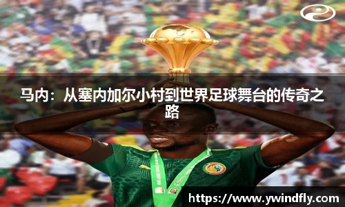 中欧体育官方网站