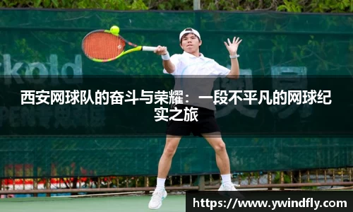 中欧体育官网