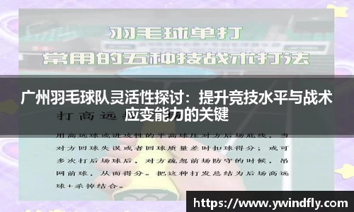 中欧体育